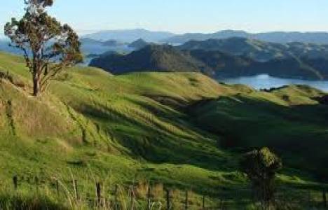 Tapulu araziler 2B'ye girdi, gelirler yarı yarıya düşecek!