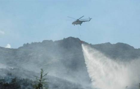 Hatay Küçükdalyan'da orman yangını! 