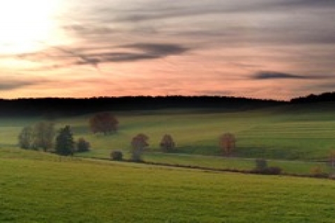 Aydın ve İzmir 'de toplam 8 arsa özelleştirilecek!