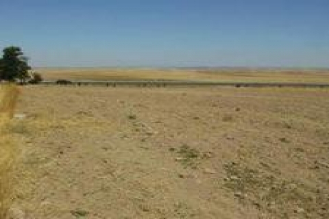 Konya'da 4 adet satılık arsa!