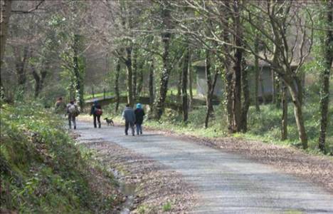 Fatih Ormanı Orman Bakanlığı'nın tesis ihtiyacını karşılayacak!