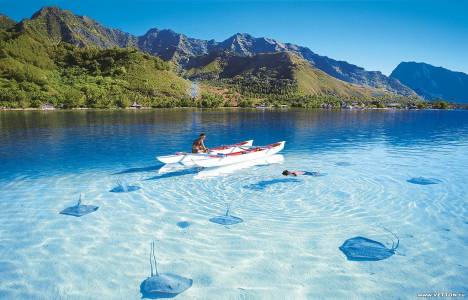  PTC Turizm Organizasyon Reklam Limited Şirketi kuruldu! 