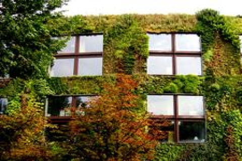 Kanada Ordusu'na çevre dostu bina inşa edilecek!