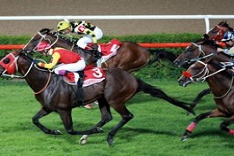 TJK, inşaat ve dekorasyon işlerini ihaleye çıkardı