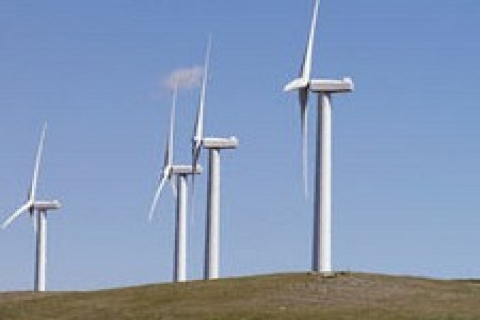 Zorlu, yenilenebilir enerjide rakipleriyle arayı açıyor