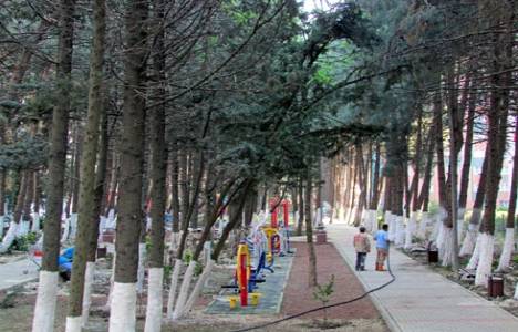 Beylikdüzü Belediyesi koru bakım çalışmalarını hızlandırdı!