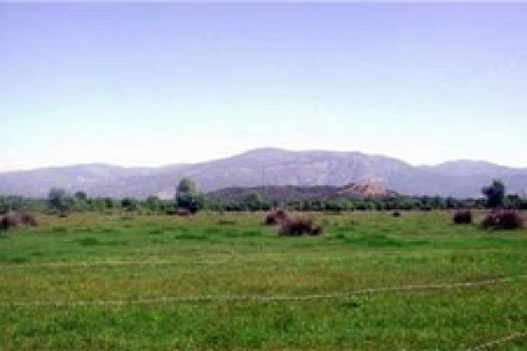 Türk Eğitim Vakfı Antalya'da 5 arsa satıyor!