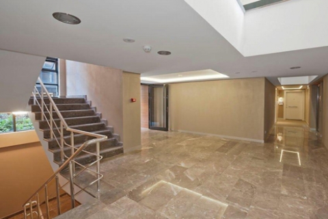 29 karede Terrace Feri turu!