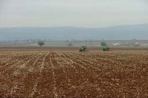 Düzce'de 1 milyon TL'ye icradan satılık tarla!