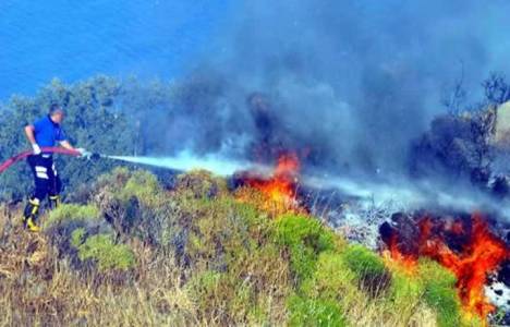Bodrum'da 5 yıldızlı bir otelin yakınında yangın çıktı!