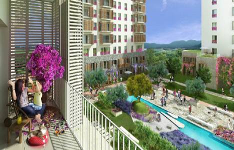 Sancaktepe Ege Boyu hakkında 35 soru 35 cevap! 