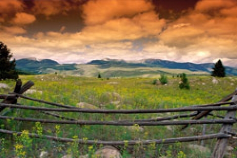 Maliye Bakanlığı'ndan 29 satılık arazi