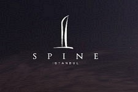 İstanbul Spin Tower'da metrekaresi 14 bin dolara!