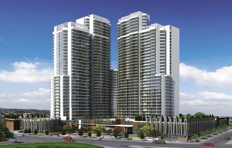 Metsan Neksus projesi!