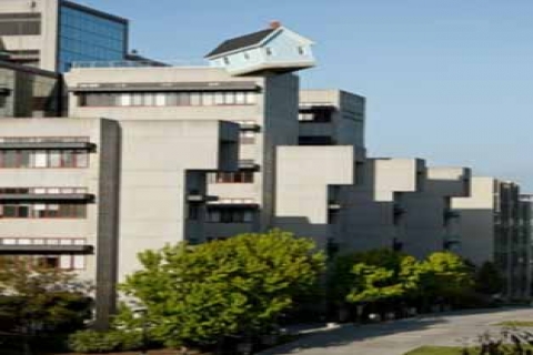  Do Ho Suh'dan Düşen Ev heykeli ilgi odağı oldu!