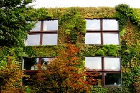 Bu yıl doğaya saygılı konut projesi artacak!