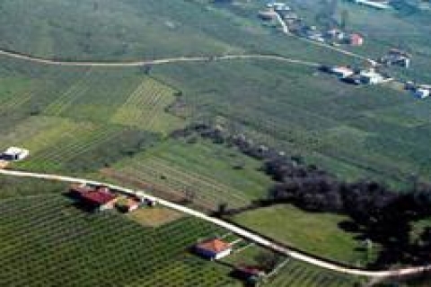 2B alanlarının kadastrosu ve güncellenmesi talimatı yayımlandı