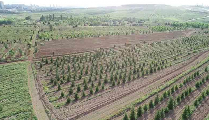 Atatürk Orman Çiftliği ndeki 3 dönümlük alan Samsat Belediyesine 6.500 TL ye kiralandı iddiası Meclis te!