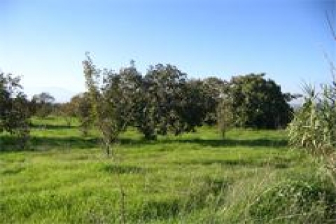 Özelleştirme İdaresi'nden satılık 7 gayrimenkul!