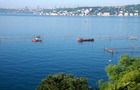 500 TL kirayla boğaz manzaralı ev olur mu?