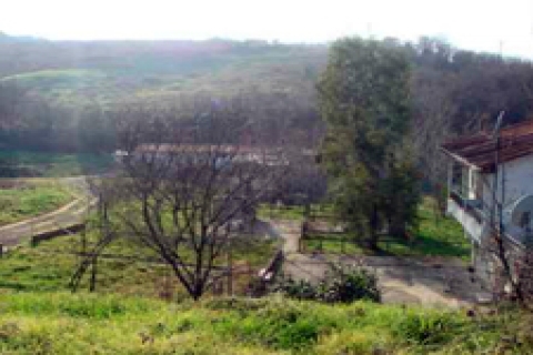 Vakıflar'dan Diyarbakır'da satılık 6 gayrimenkul