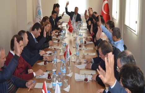 Aydın Çine Belediye Meclisi'nde imar değişikliği kabul edildi!