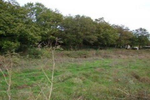 İzmir'de Satış Memurluğu'ndan 1 milyon TL'ye arsa!