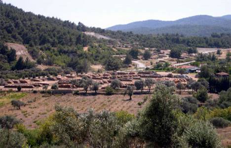  İzmir'de 74 bin 880 metrekare icradan satılık tarla!