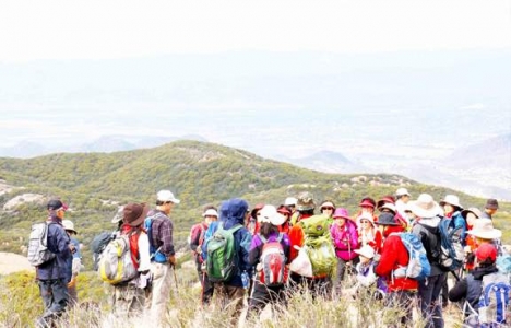 Mayıs'ta yabancı turist sayısı yüzde 2.46 azaldı!