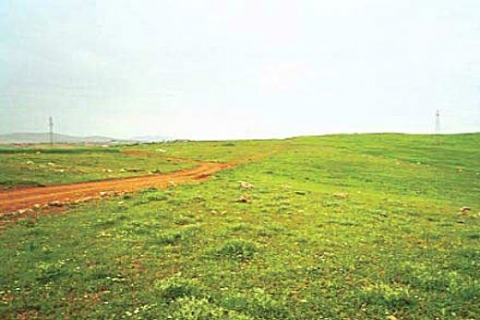 2-B Tasarısı TBMM Genel Kurulu'nda kabul edildi!