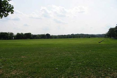 Mersin Yenişehir'de 3.8 milyon TL'ye icradan satılık tarla!