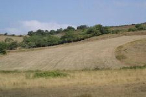 Vakıflar'dan Antalya'da satılık 63 gayrimenkul!