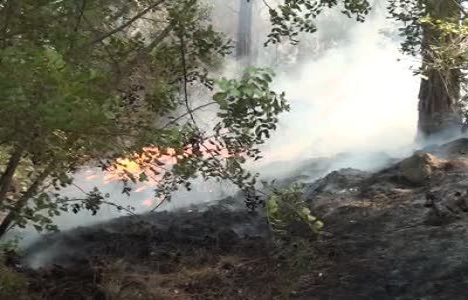  Dim Çayı Vadisi'ndeki 3 köyde yangın çıktı!
