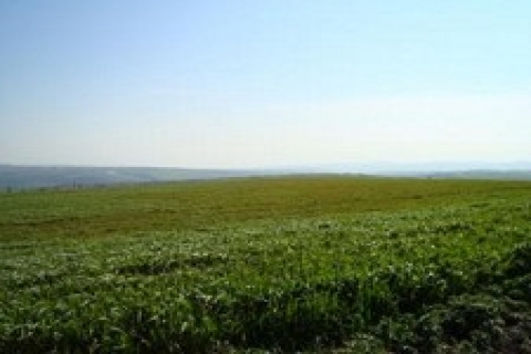 Arnavutköy'de icradan 7 milyon 457 bin TL'ye satılık 4 gayrimenkul!