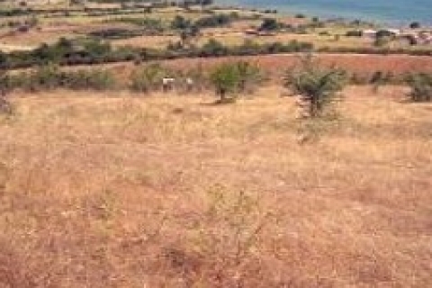 Kahramanmaraş 'ta icradan 838 bin TL 'ye satılık arsa!