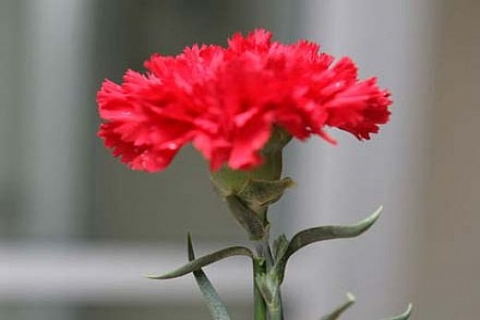 Beykoz Konakları'nın acı günü: Mustafa Küçük vefat etti!