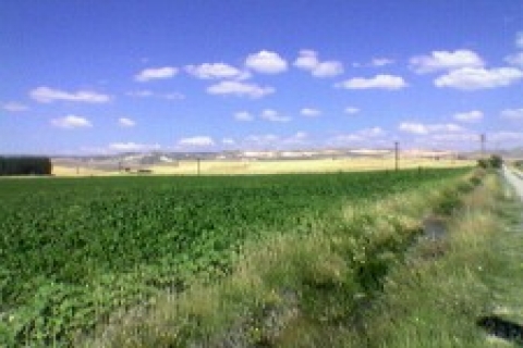 Denizli'de icradan 1 milyon 975 bin 500 TL'ye satılık arsa!