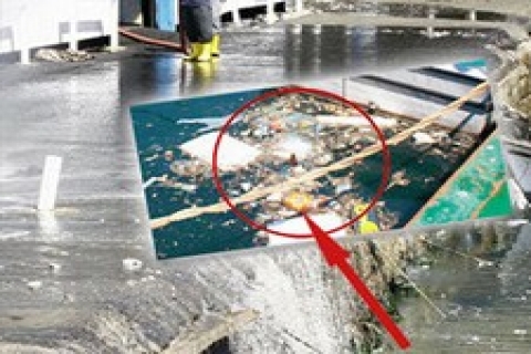 Tariş Kuşadası'ndaki arsasını yine satışa çıkardı!