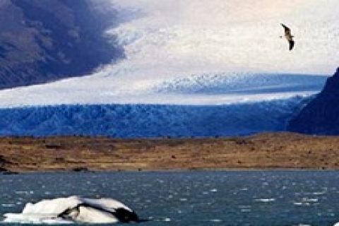çinli müteahhit İzlanda'ya talip oldu!