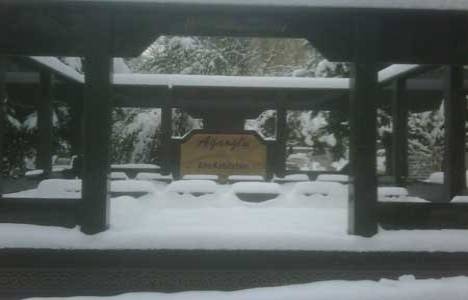 Ali Ağaoğlu, aile mezarlığına şirketin logosunu koydurdu!