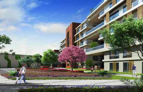 Green İst Güneşli görselleri!