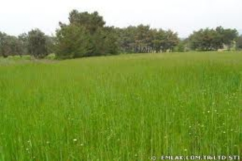 bayraklı\'da satılık arsa