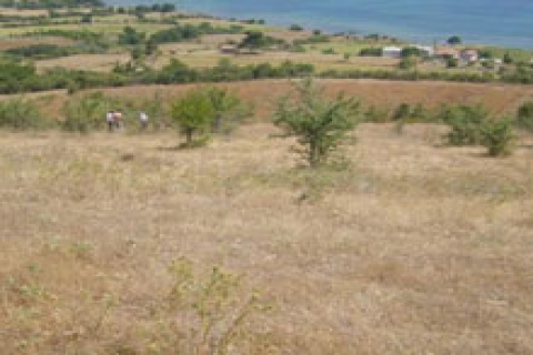 Haznedar Refrakter ihraç fazlası arsasını sattı