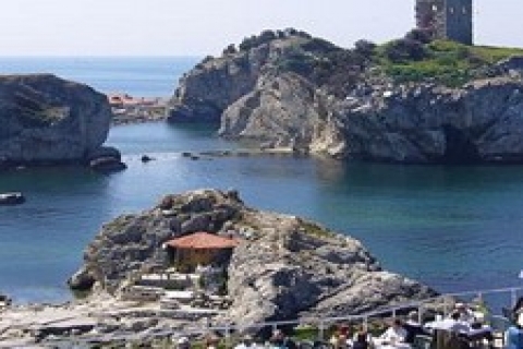 İstanbul Defterdarlığı'ndan şile'de kiralık 2 tarla!