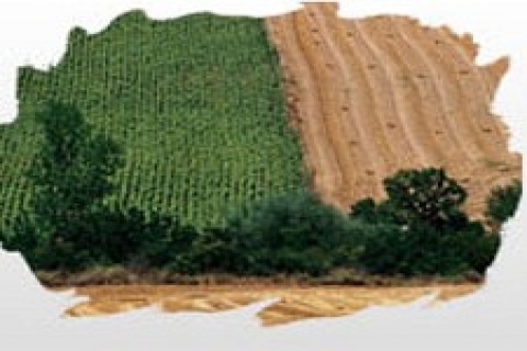 Silivri'de 815 bin TL'ye satılık arsa ve tarla!