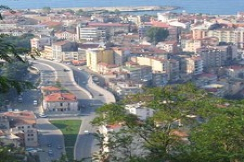 Trabzon 'da icradan satılık fındık bahçesi! 4 milyon TL 'ye!