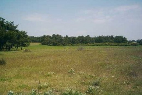 Ankara'da 3 ihalede 16 arsa satılıyor! 67 milyon 92 bin 580 TL'ye!