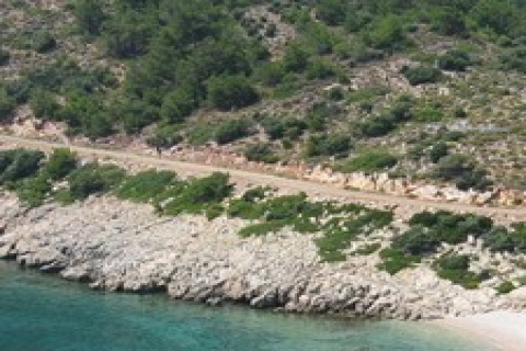 Muğla Datça'da 2 milyon 550 bin TL'ye 3 tarla! İcradan!