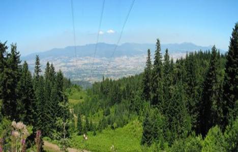 Özel orman alanlarında inşaat yapılabilecek!