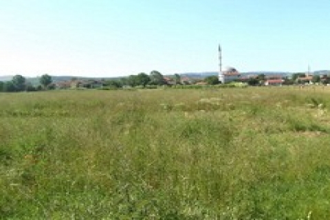 Aydın'da icradan satılık 5 taşınmaz!